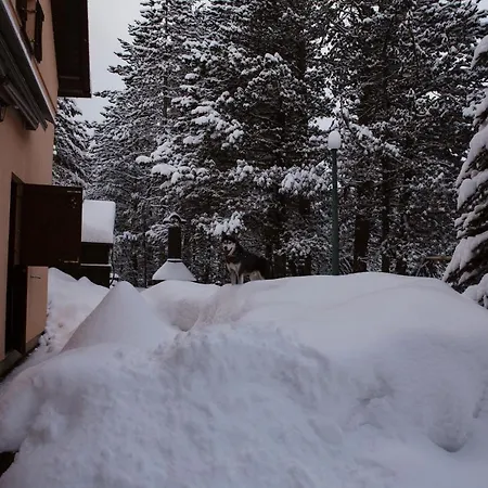 Planinska Kuca Munika Risovac