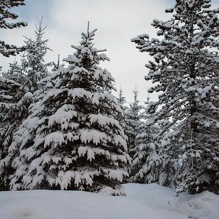 Planinska Kuca Munika Chalet Risovac