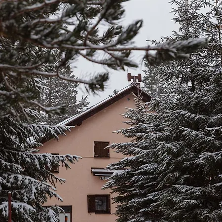 シャレー Planinska Kuca Munika Risovac