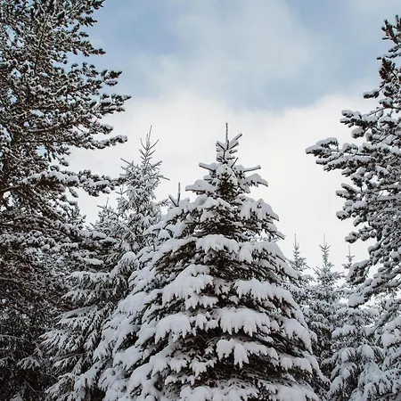 Planinska Kuca Munika シャレー Risovac